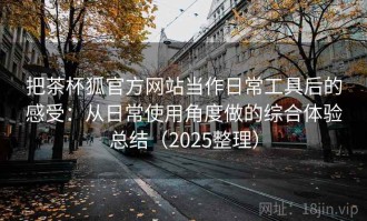 把茶杯狐官方网站当作日常工具后的感受：从日常使用角度做的综合体验总结（2025整理）