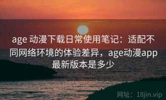 age 动漫下载日常使用笔记：适配不同网络环境的体验差异，age动漫app最新版本是多少