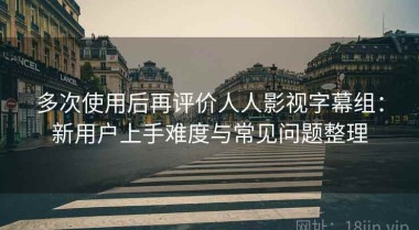 多次使用后再评价人人影视字幕组：新用户上手难度与常见问题整理