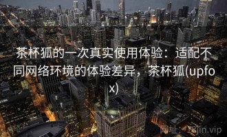 茶杯狐的一次真实使用体验：适配不同网络环境的体验差异，茶杯狐(upfox)