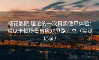 樱花影院 理论的一次真实使用体验：常见卡顿场景与应对思路汇总（实测记录）