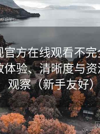 可可影视官方在线观看不完全体验说明：播放体验、清晰度与资源完整性观察（新手友好）