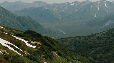 人人影视官网不完全体验说明：适配不同网络环境的体验差异（实测记录）