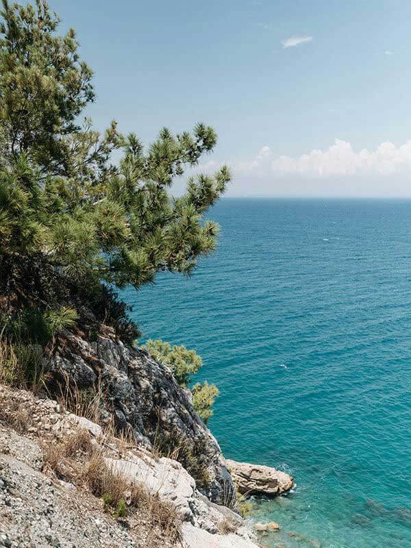 围绕茶杯狐官方网站的实际使用感想：内容缺失、失效与替代方案的体验总结（最新版）