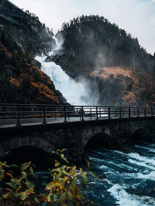 围绕茶杯狐官方网站的实际使用感想：内容缺失、失效与替代方案的体验总结（最新版）