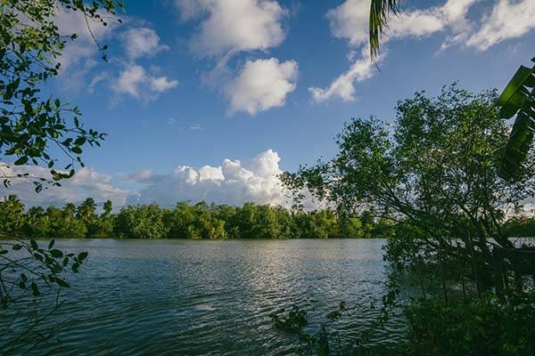 茶杯狐上手路线与体验记录：加载速度、清晰度与缓存策略观察（对比总结）