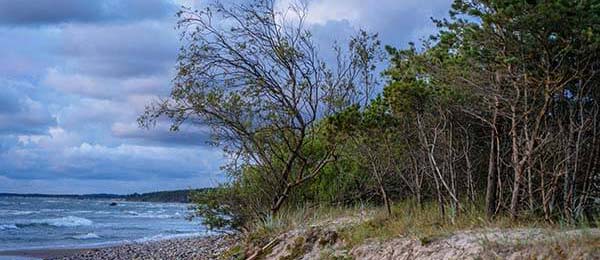 age动漫官网版入口不完全体验说明：加载速度、清晰度与缓存策略观察（最新版）