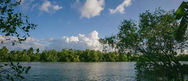 樱花影院午夜高频使用后的真实结论：多次回访后的体验变化记录