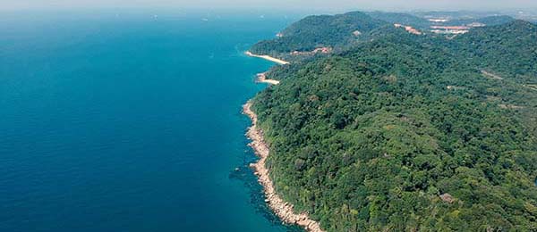 樱花影院午夜高频使用后的真实结论：多次回访后的体验变化记录