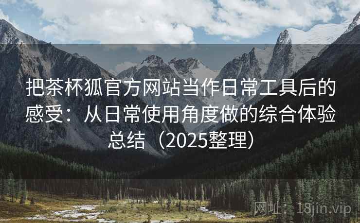 把茶杯狐官方网站当作日常工具后的感受：从日常使用角度做的综合体验总结（2025整理）