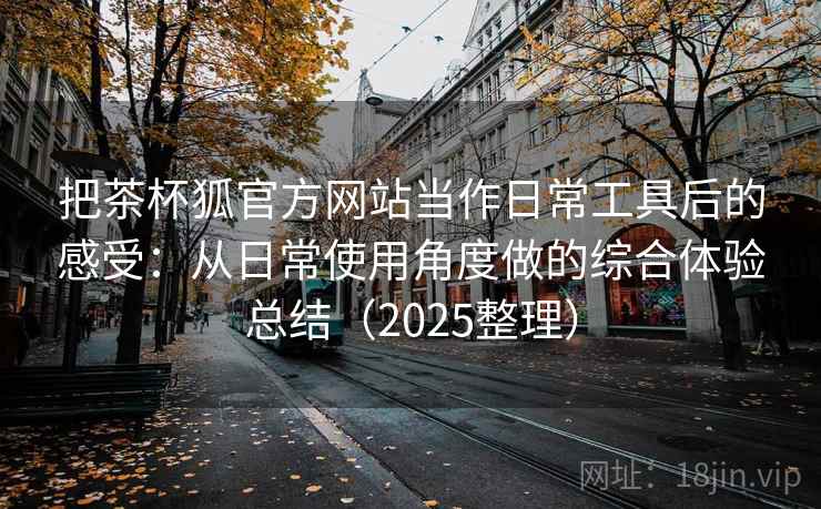 把茶杯狐官方网站当作日常工具后的感受：从日常使用角度做的综合体验总结（2025整理）